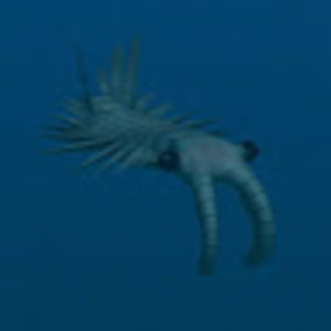 Meet your Posher, Charlotte